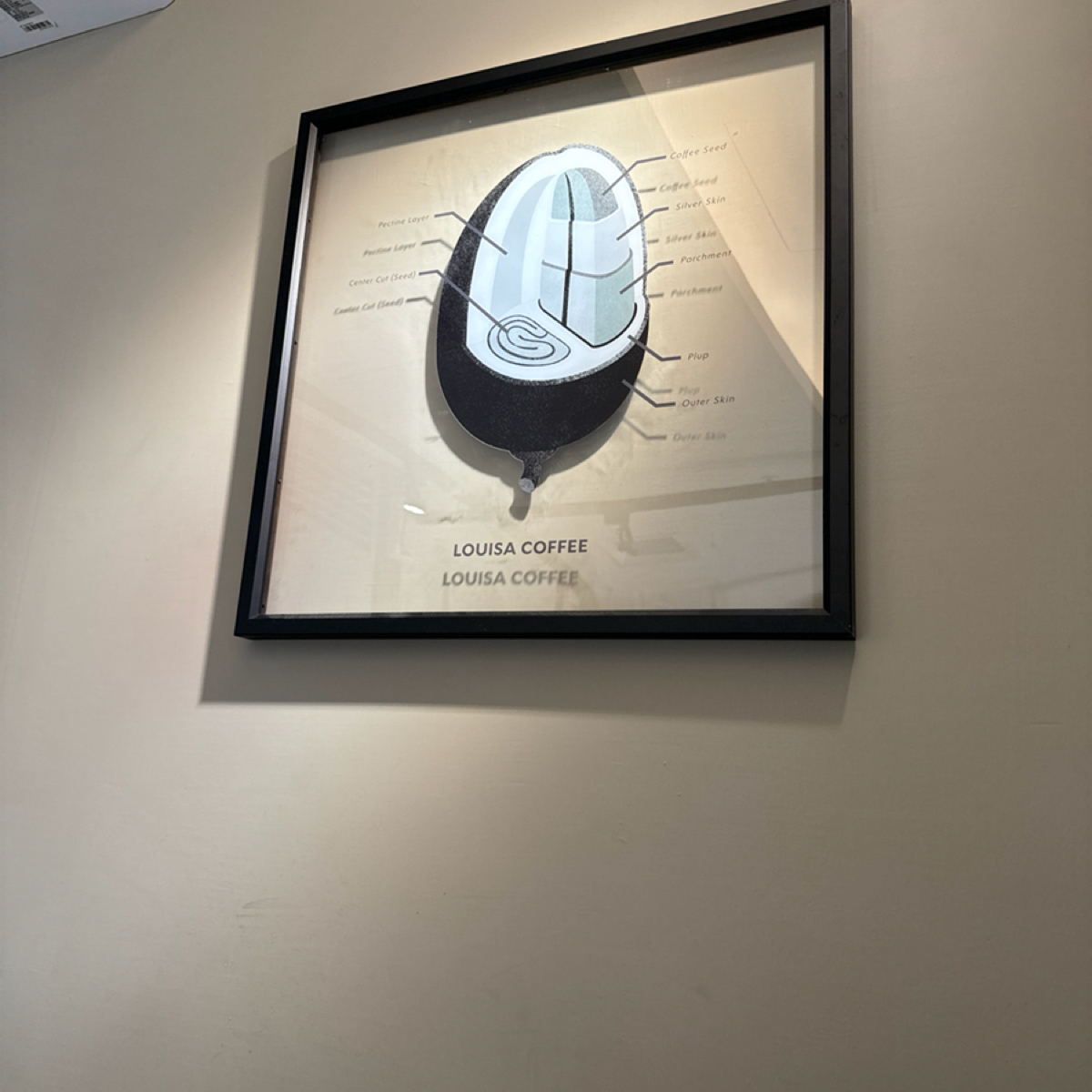 LOUISA COFFEE 部立桃園醫院門市 の雰囲気の写真：讓你多瞭解咖啡 by食、動、健康 