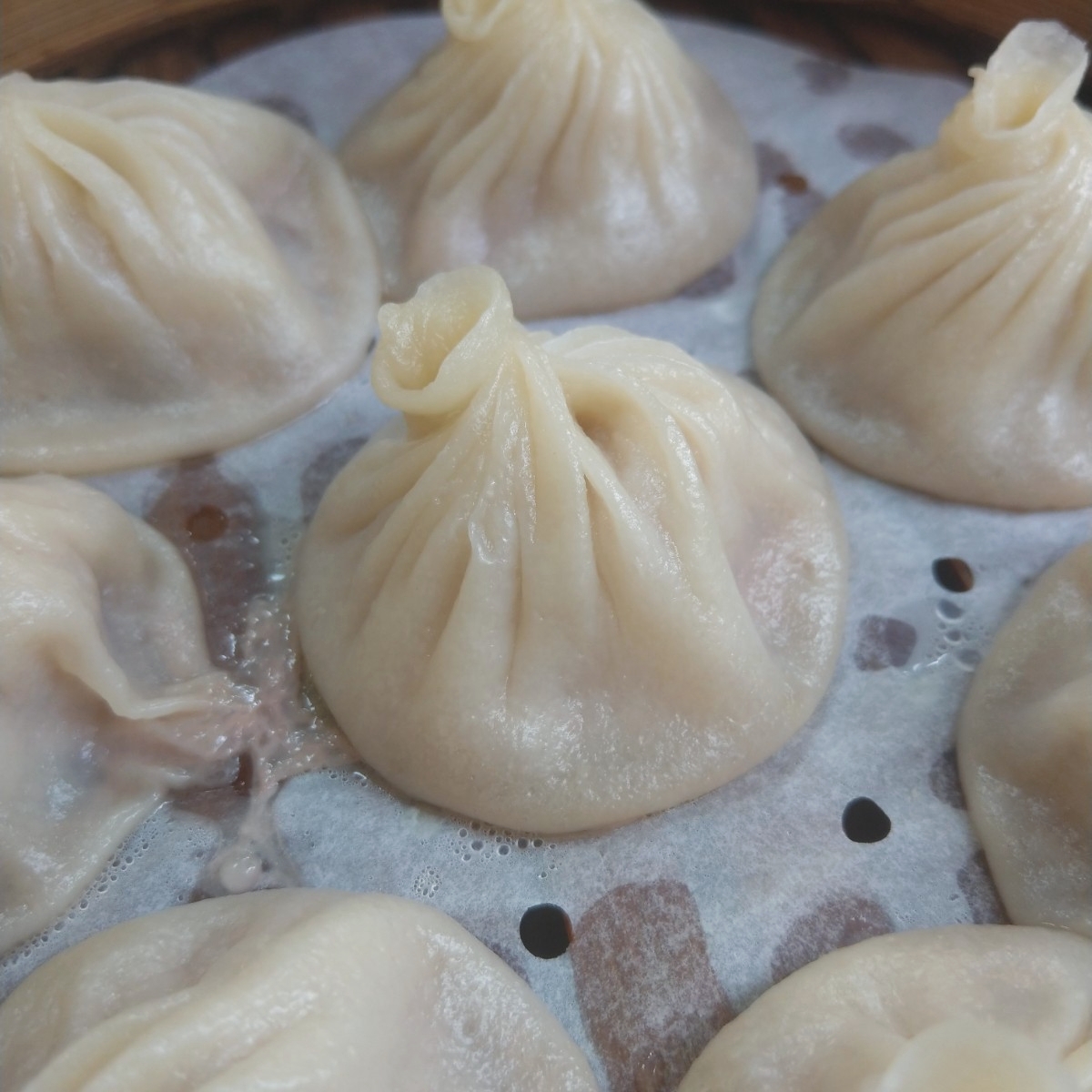 Meal image of 上富豐蘇杭湯包:  shot by IN老師