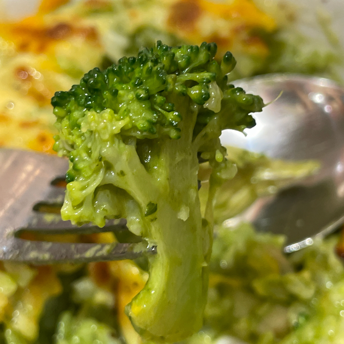 Meal image of 夯麵坊 成功店:  shot by Freddy Liu