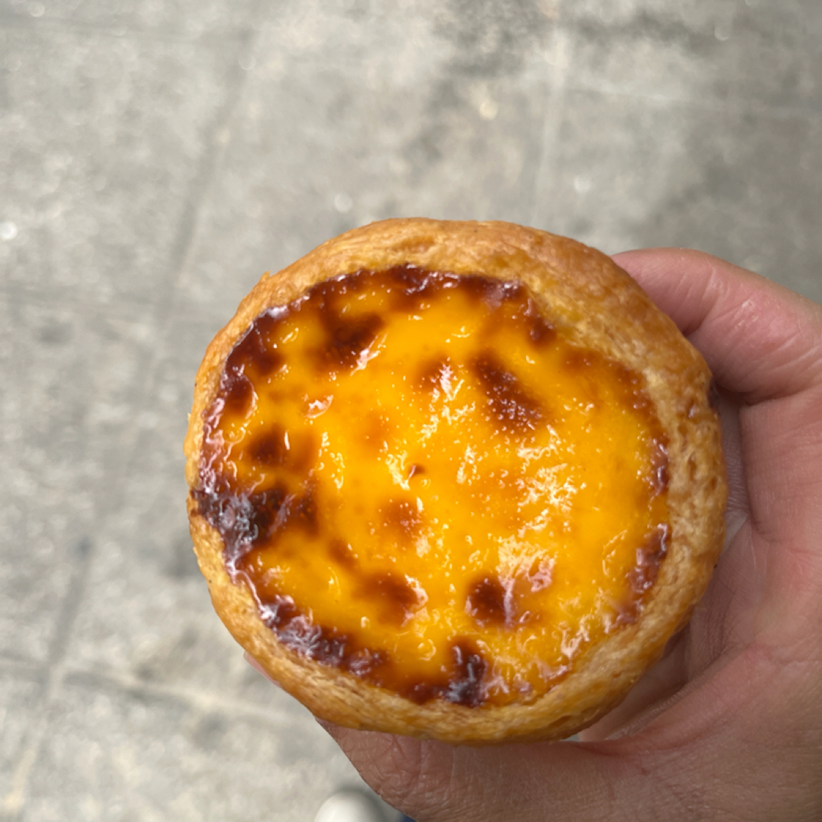 Meal image of 新好利咖啡餅店麵食:  shot by Yo