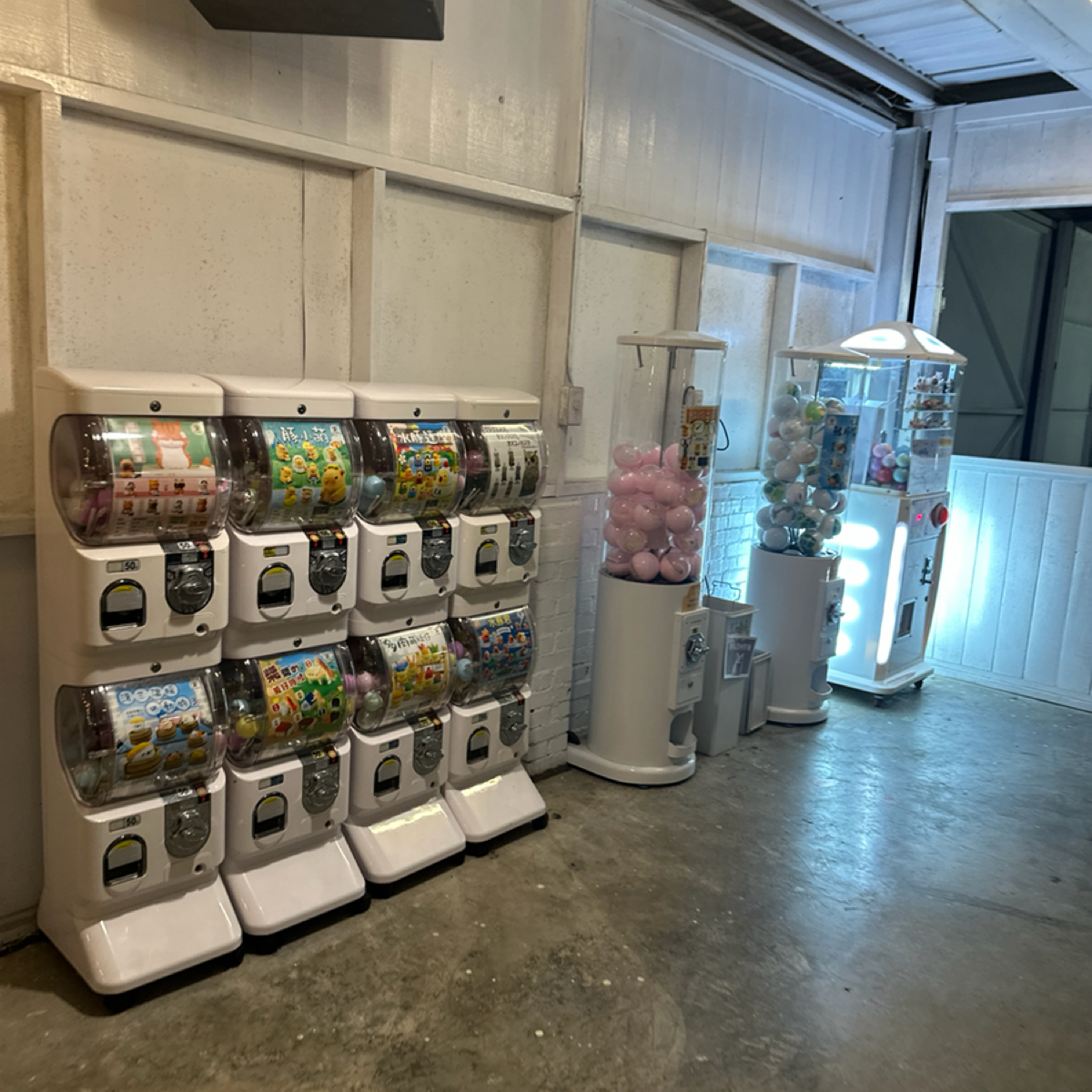 貓頭鷹廣場 の雰囲気の写真： byYY 