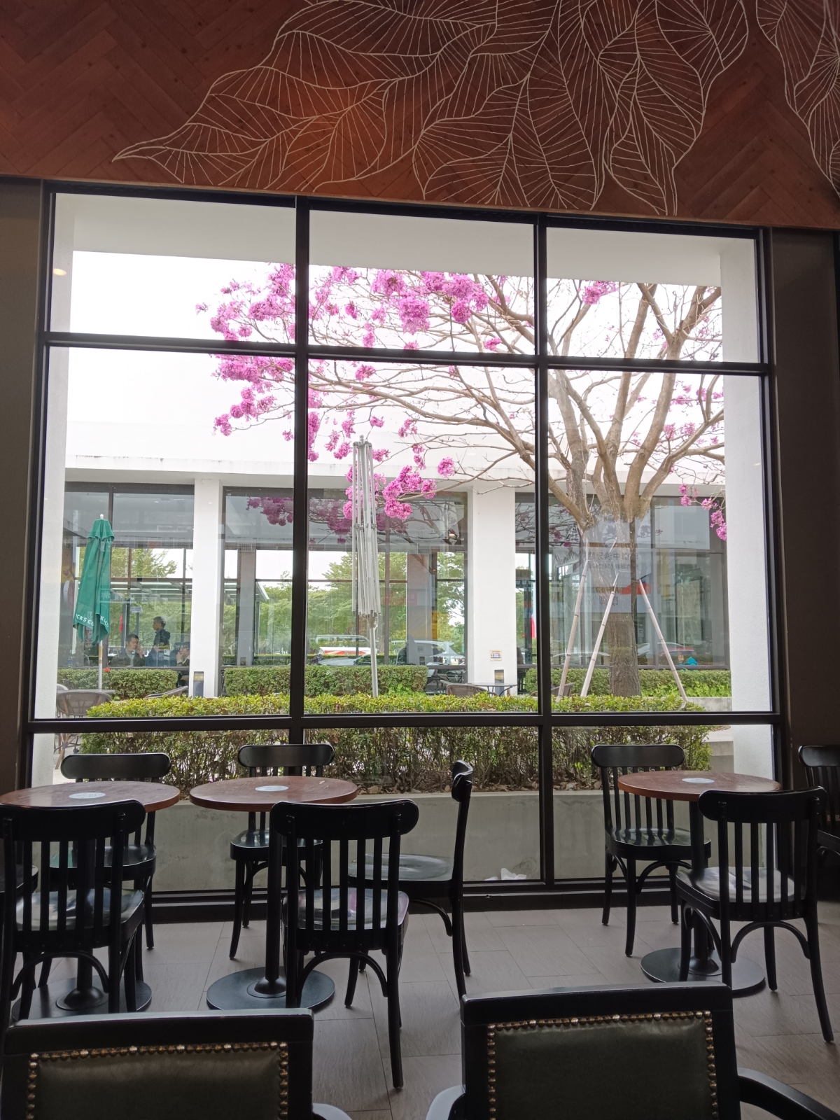 STARBUCKS 星巴克 台中中清門市 のメニューの写真： bychinchillann 