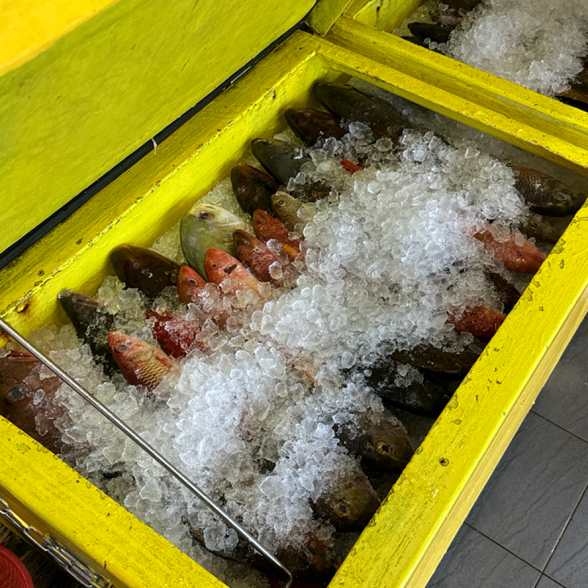 討海人海產 の雰囲気の写真： by三口元 