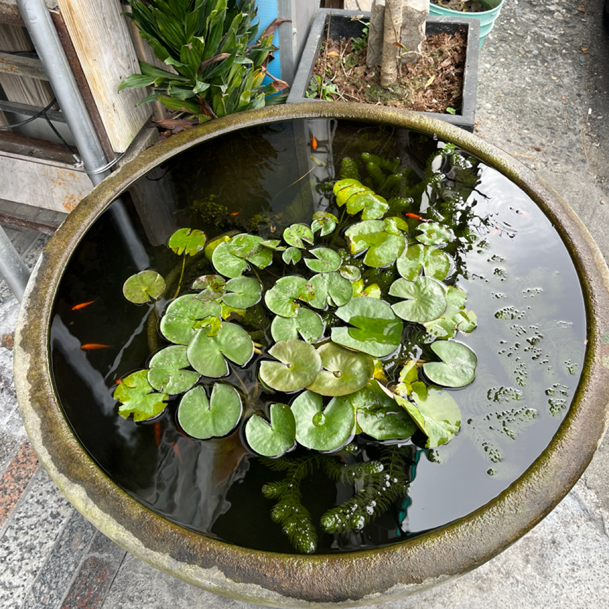 Vibe image of egg荷包蛋早餐店:  shot by Yo