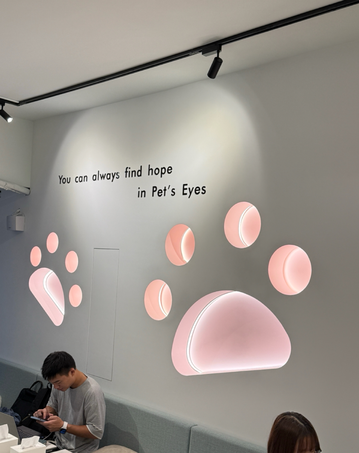 Paws Cafe 寵物友善餐廳 の雰囲気の写真： by阿波卡 