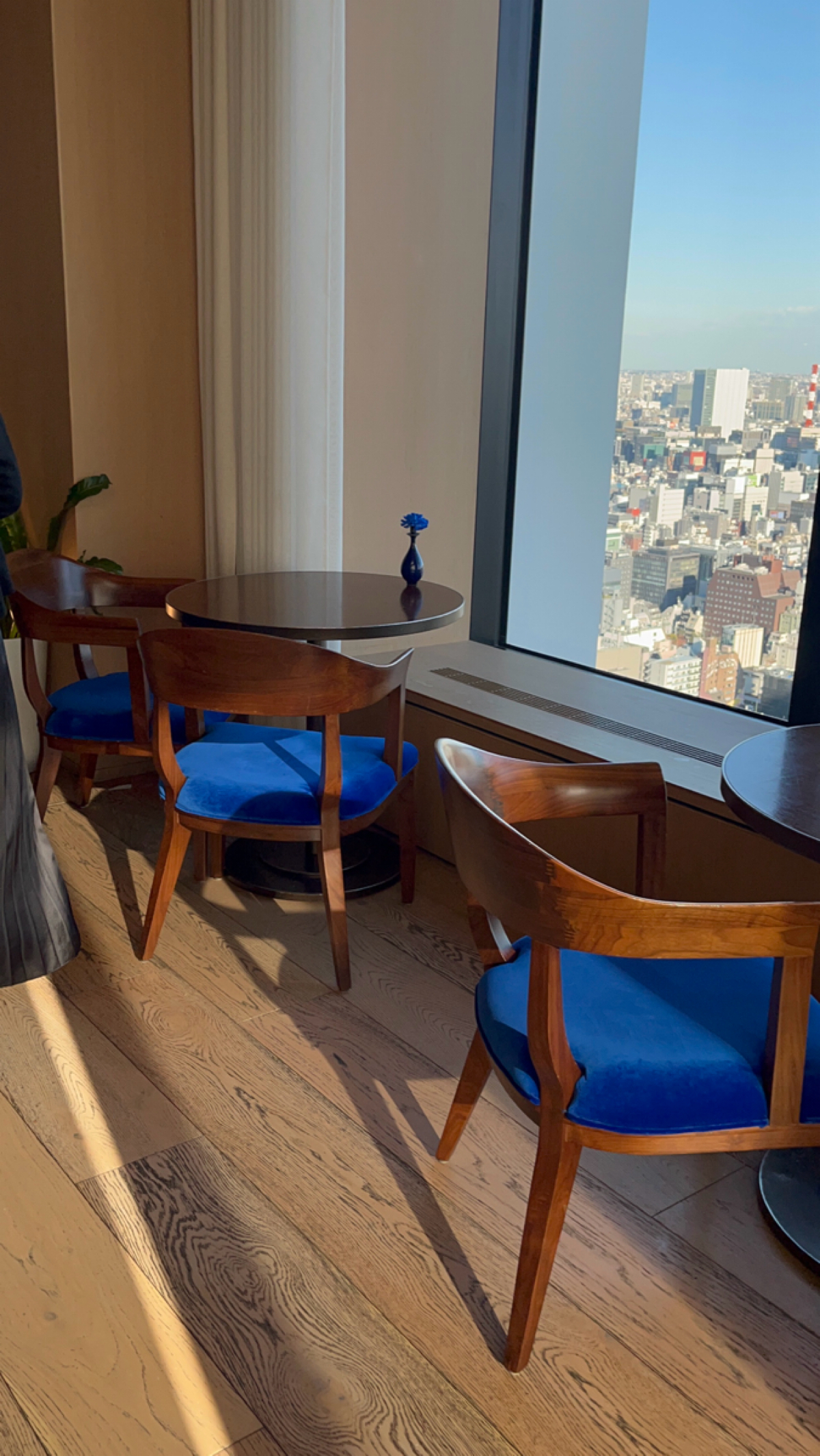The Blue Room の雰囲気の写真： byみぶグルメ 