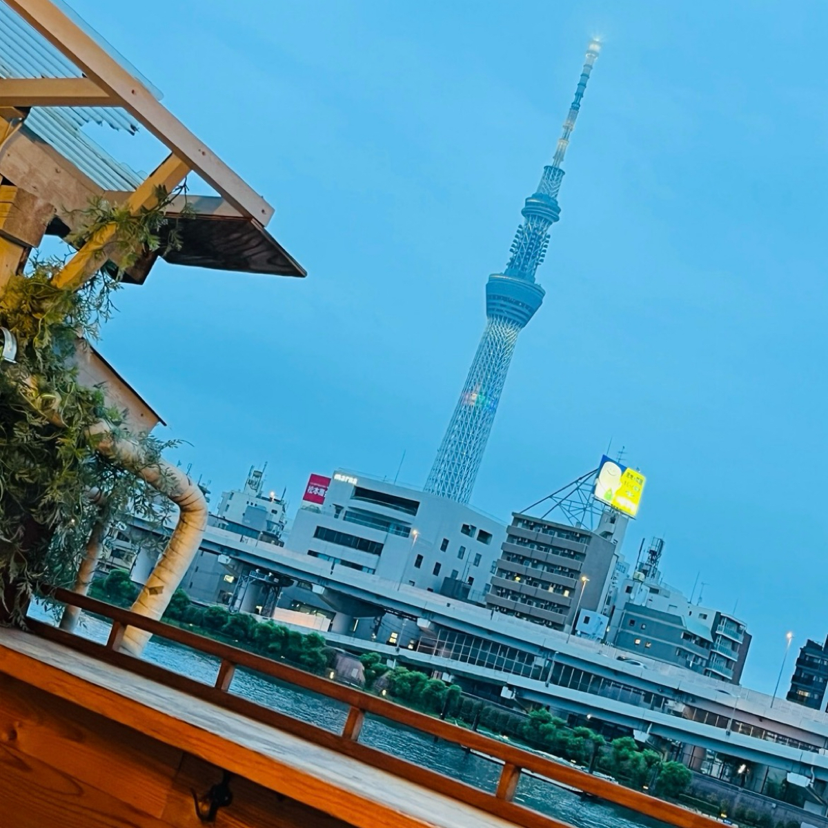 Vibe image of Inf 蔵前店: 内観 shot by はらぺこちゃん