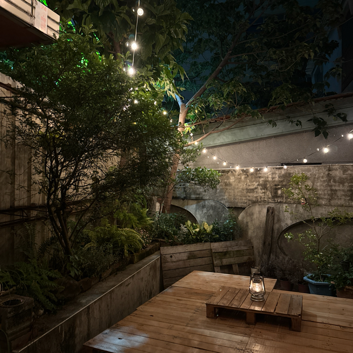 Vibe image of 山坡上:  shot by 菌菌