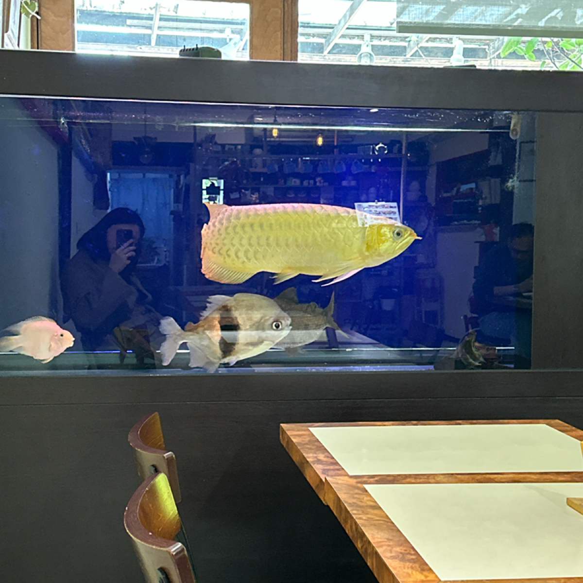 嘰嘰喳喳簡餐 の雰囲気の写真： byAki 