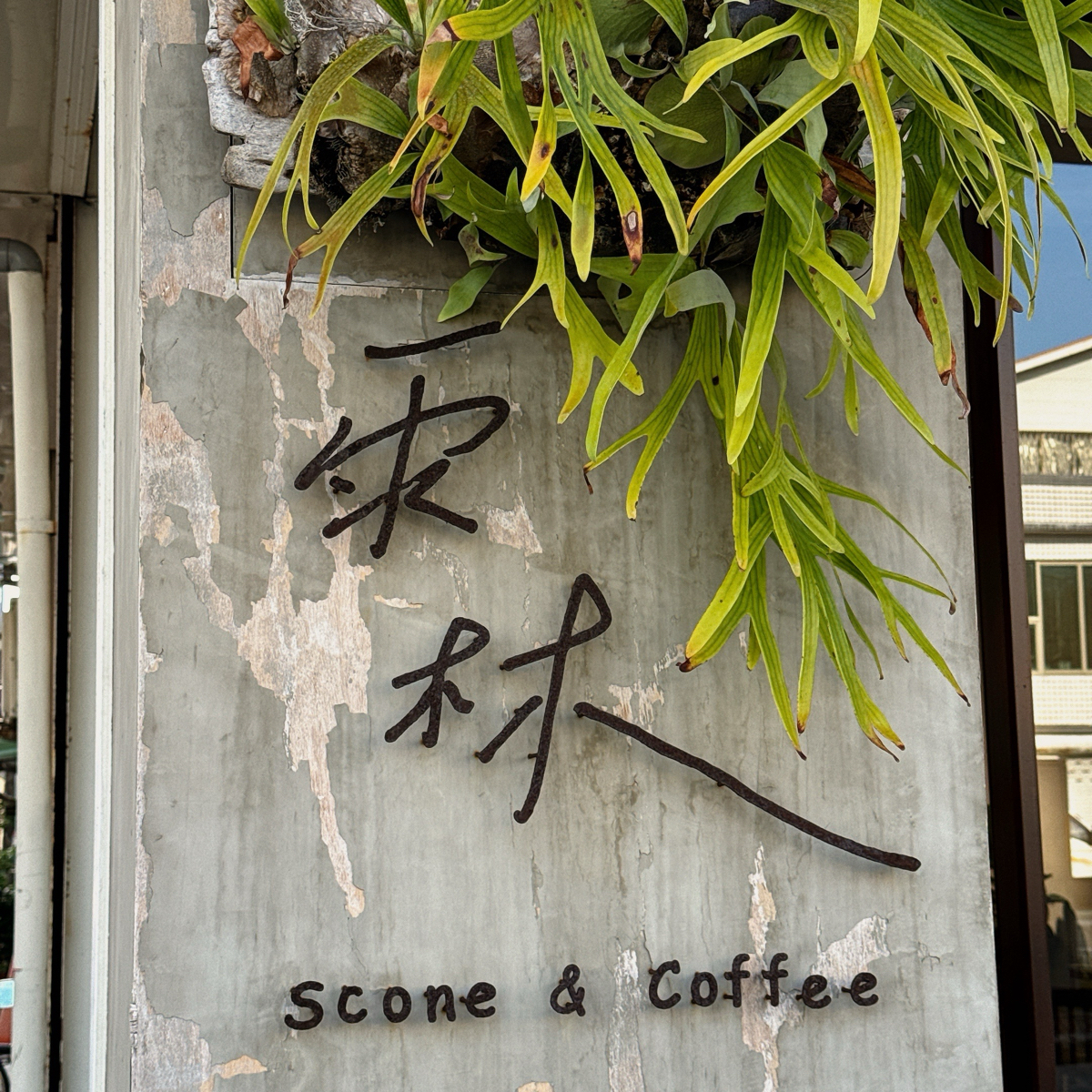 雨林Scone&amp;Coffee 司康專賣店 的外觀氛圍圖片： 由小青蛙🐸 拍攝