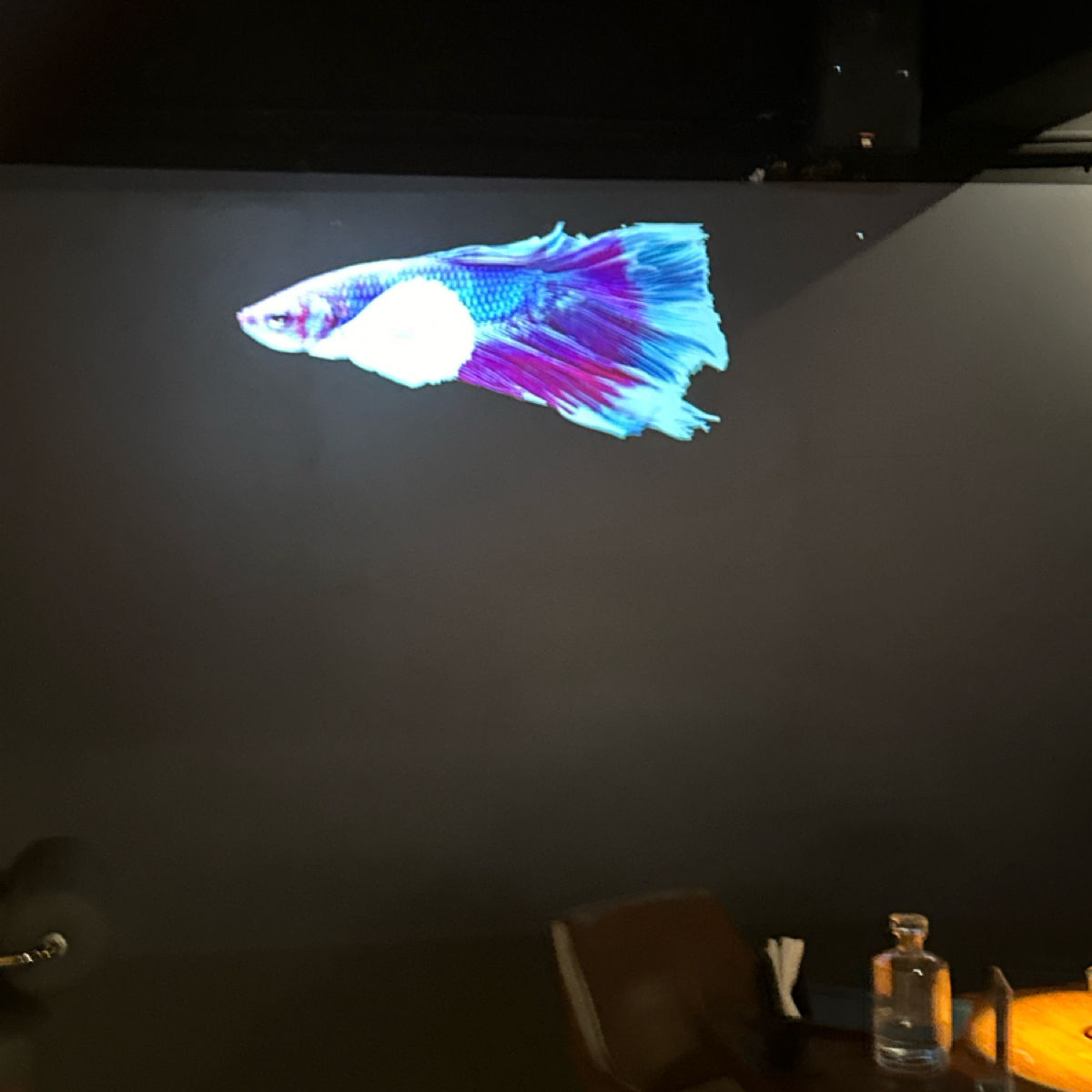 Vibe image of 浮侍Ukitsu Bar: 門口看進來很美其實 shot by Luna一枚小吃貨