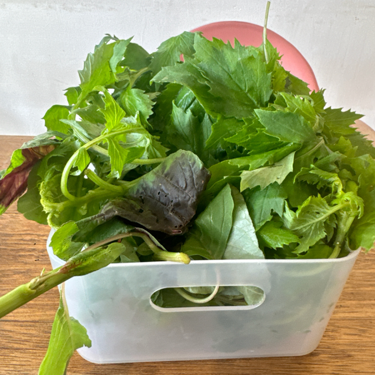 Meal image of 小小兔子廚房: 自取菜盤 shot by 食、動、健康