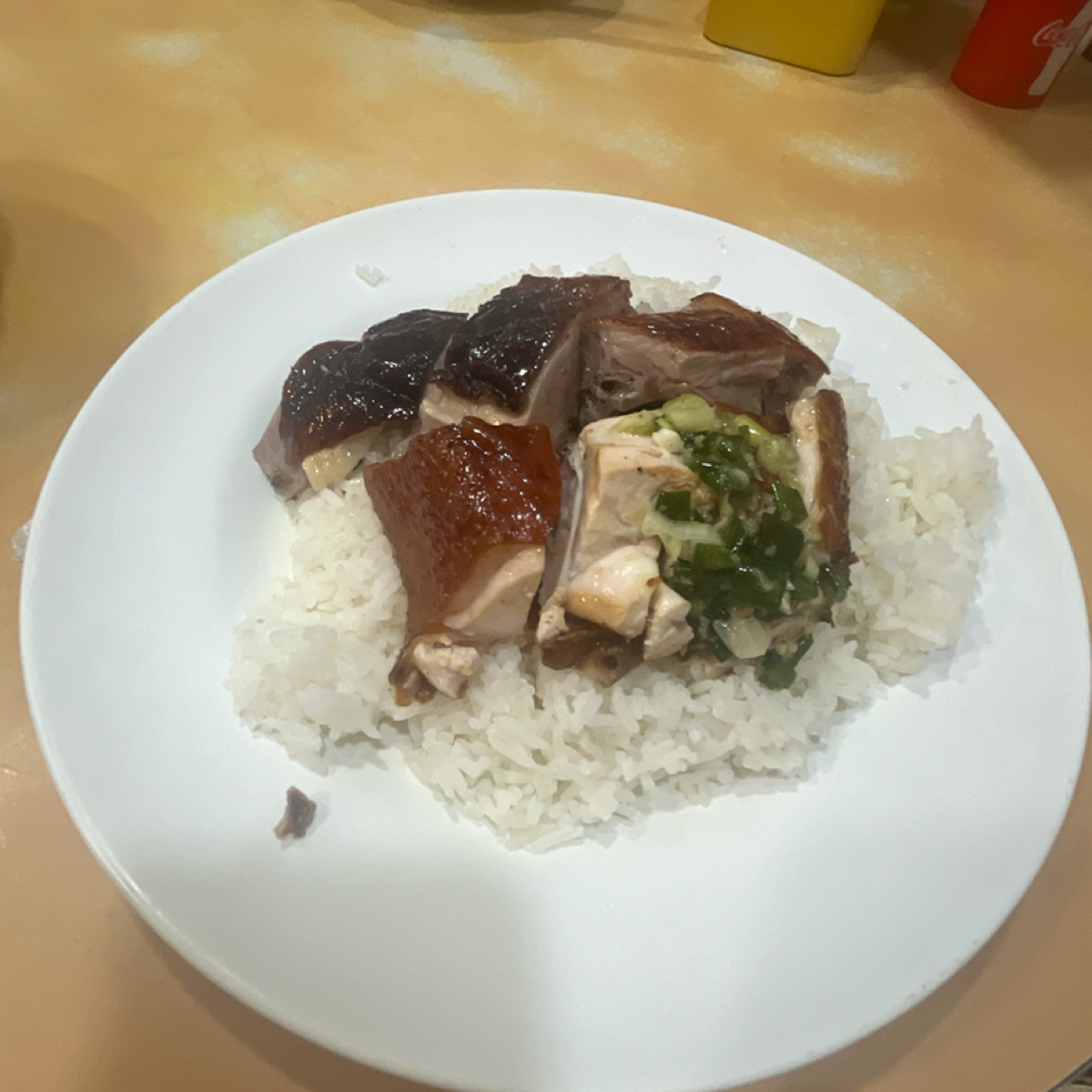 Meal image of 再興燒臘飯店:  shot by Yo