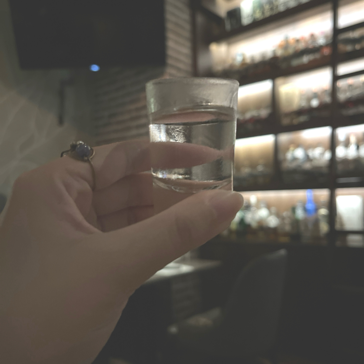 Vibe image of Double Soul Bistro: 謝謝招待的shot
店內有一面牆是酒瓶裝飾（後面光亮處） shot by Yan（吃飯打卡中）
