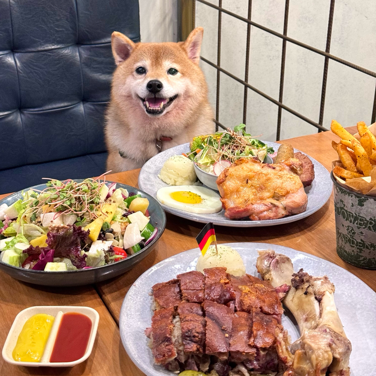 Meal image of 舒曼六號餐館 小巨蛋南京店: 狗狗繫牽繩可以落地也可以坐椅子 shot by Ina