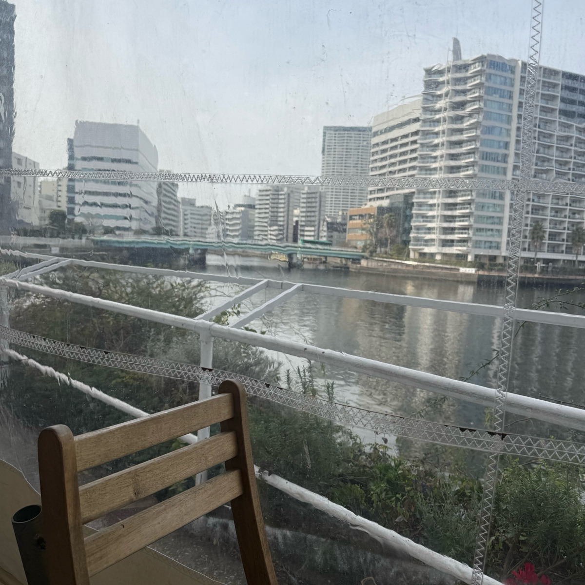 T.Y.HARBOR の雰囲気の写真： byみぶグルメ 