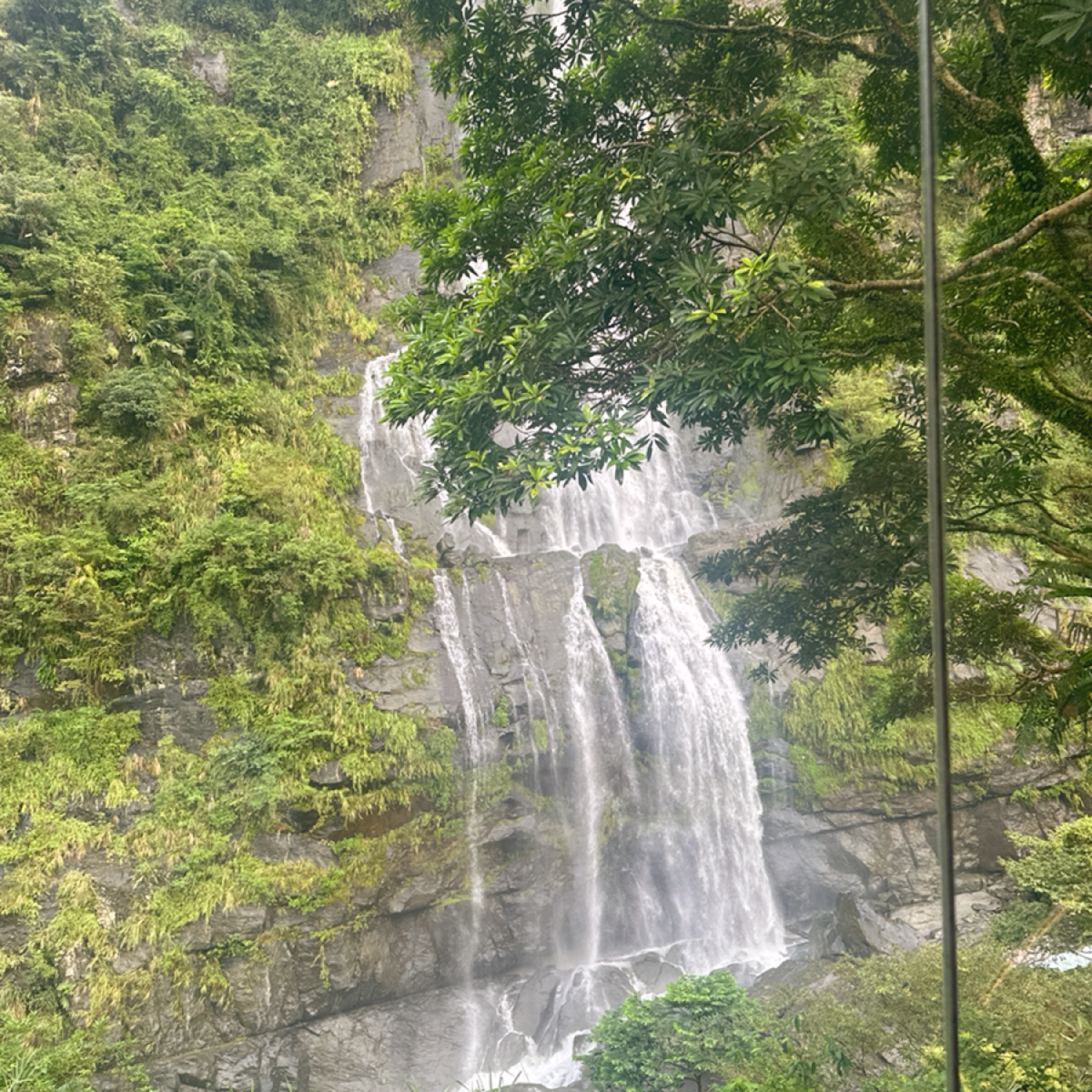 Meal image of 瀑布3号: 店內看外面的風景🏞️ shot by 草莓肉鬆蛋吐司