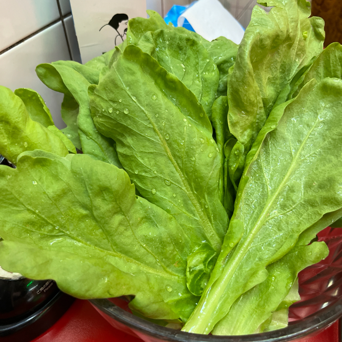 詹記麻辣火鍋 敦南店 的餐點圖片：茼蒿～ 由阿官 拍攝