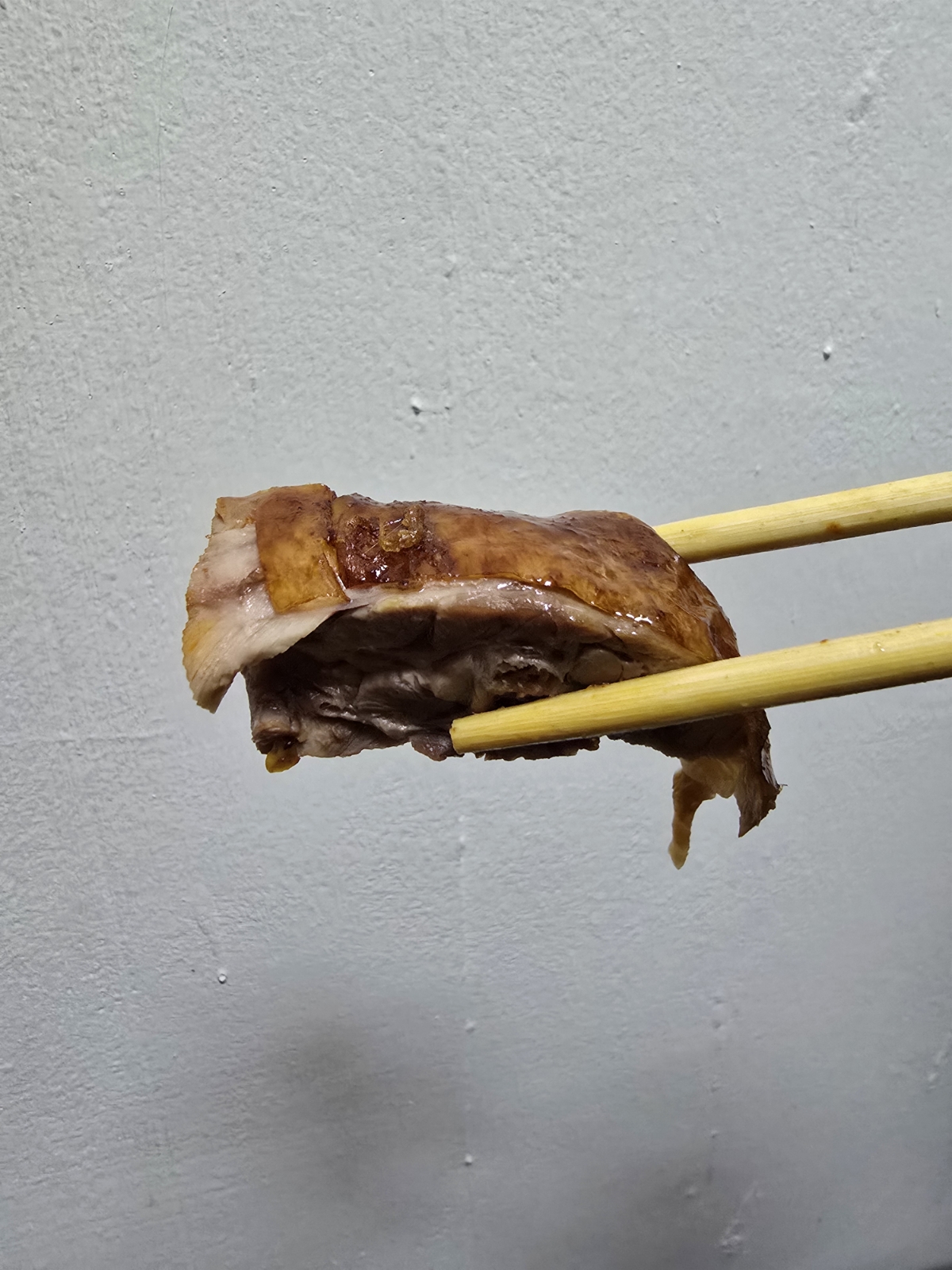 Meal image of 龍記燒臘 台北南港店: 燒鴨近照 shot by 永遠的新手