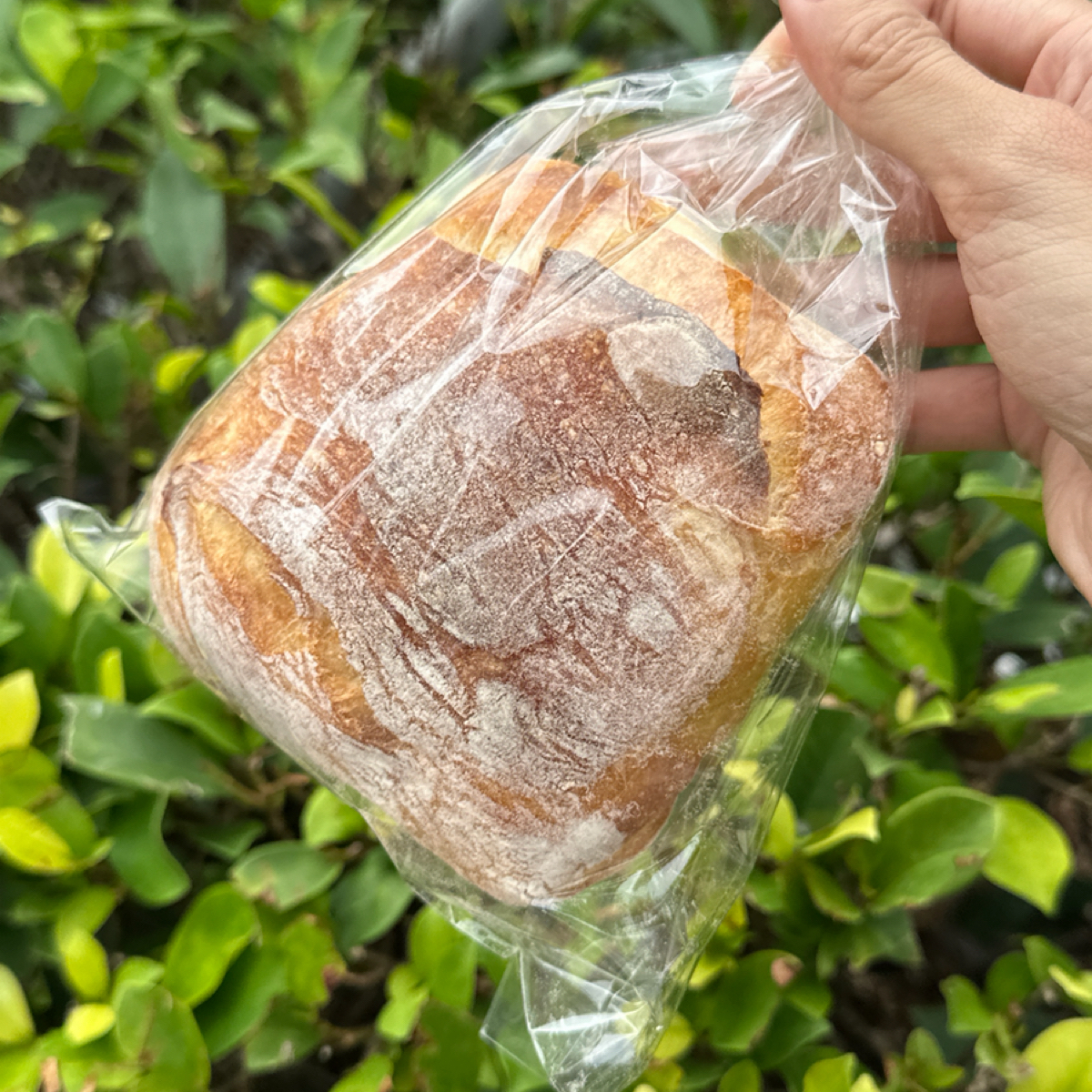 拾穗Bakery 麵包烘焙專門店 のレストランの写真：本日限定 byLuna一枚小吃貨 