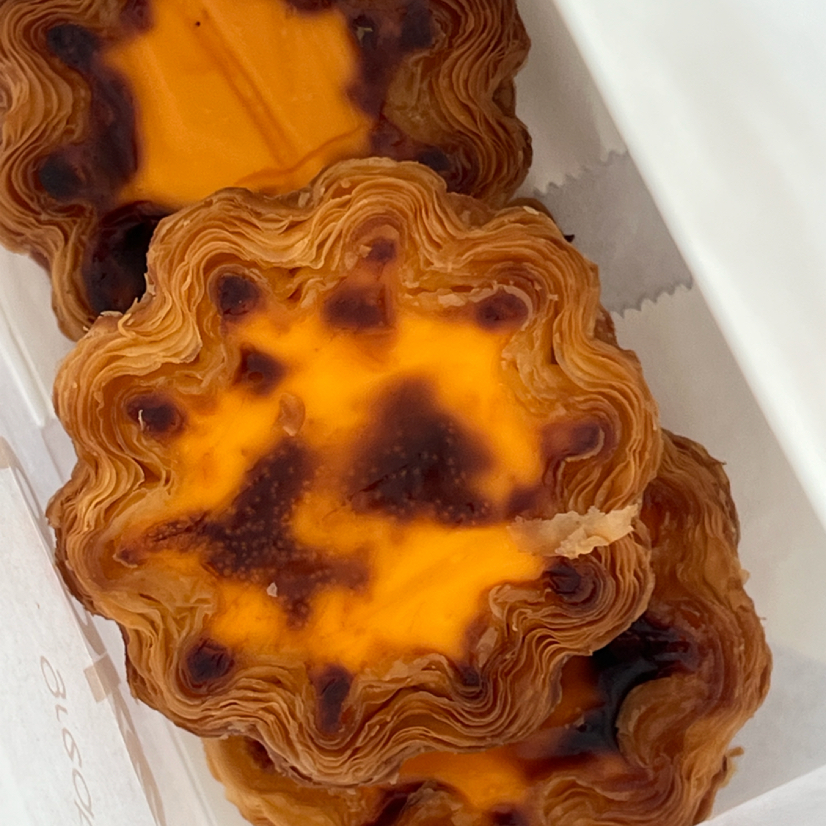 Meal image of Goat Bakers Taipa: 花邊蘭王葡撻 $12 shot by 七咪
