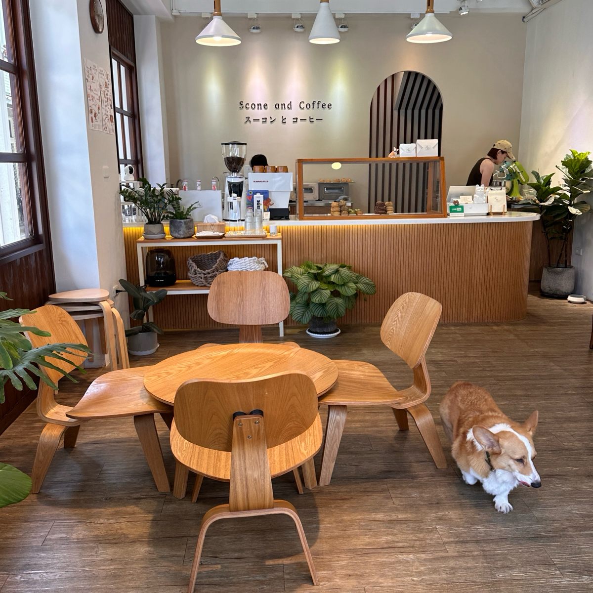 雨林Scone&amp;Coffee 司康專賣店 的外觀氛圍圖片： 由晨晨 拍攝
