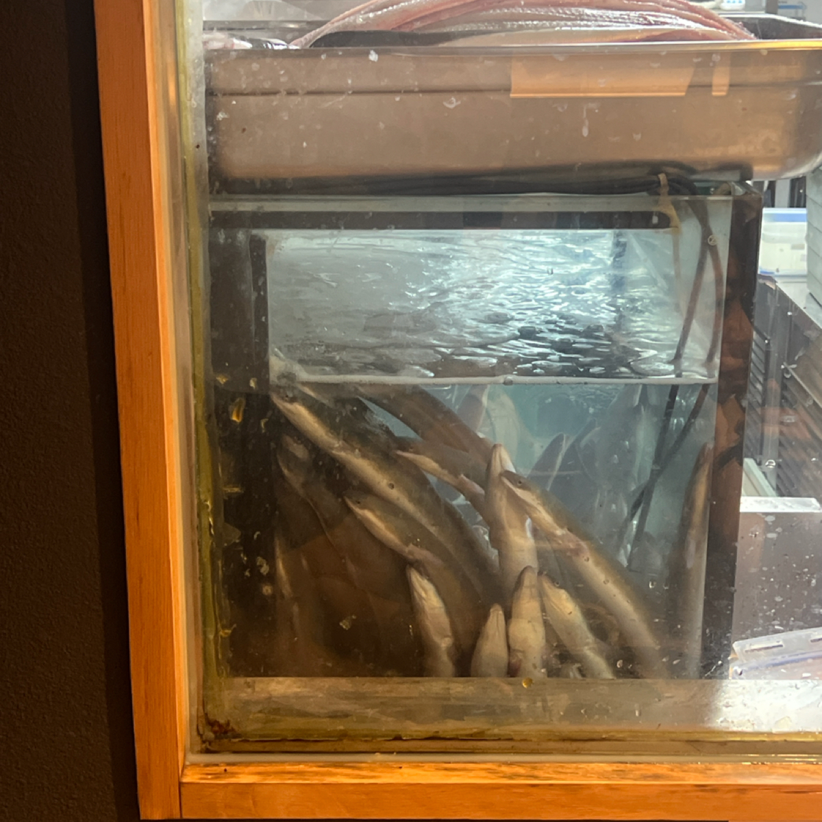 Vibe image of うなぎ四代目菊かわ 台北店(鰻魚飯專賣店):  shot by Crypto_foodie