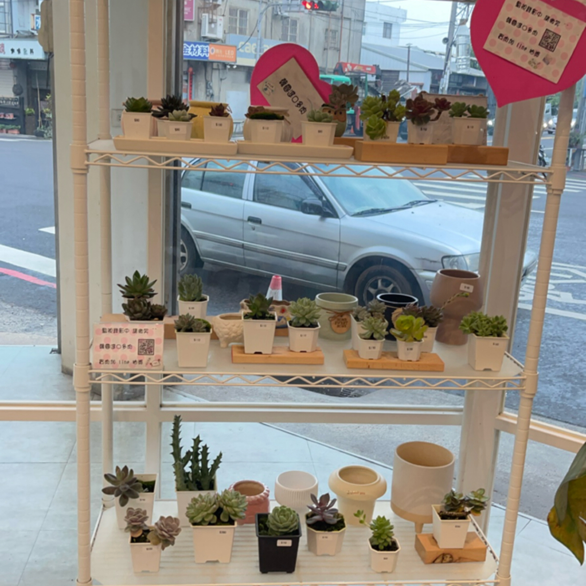 Vibe image of 囍萃綠豆沙: 店內也有販售多肉植物喔，有興趣可以Line Pay shot by 漂釀美眉