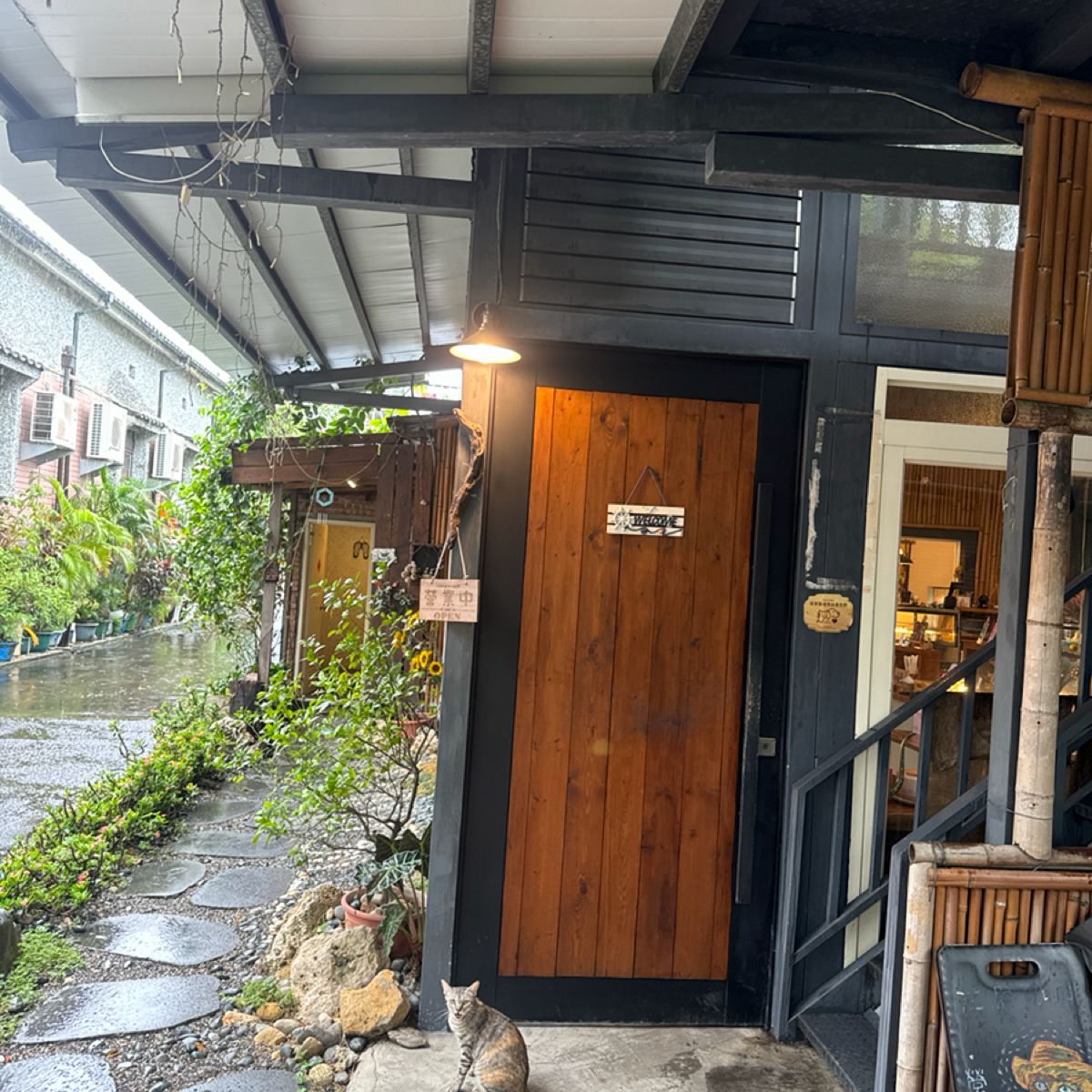 Vibe image of 江果咖啡 Jungle cafe:  shot by 三口元