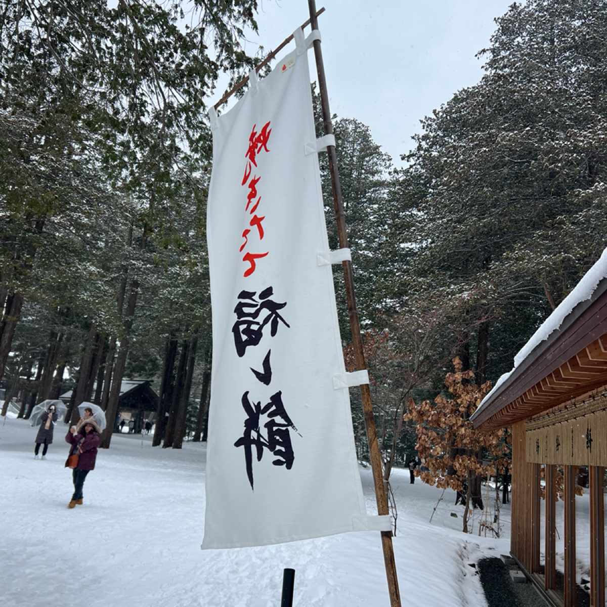 Vibe image of 神宮茶屋: 招牌 shot by 動吃動吃動吃