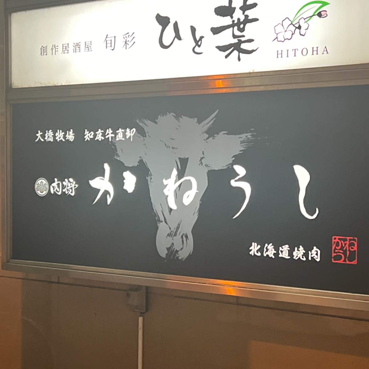 Vibe image of Daruma だるま達摩 7.4: 附近知床牛燒肉專門店 shot by 動吃動吃動吃