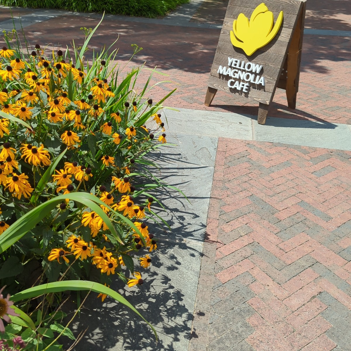 Vibe image of Yellow Magnolia Café

 Botanic Garden : Yellow Magnolia Cafe shot by Geonamiable
