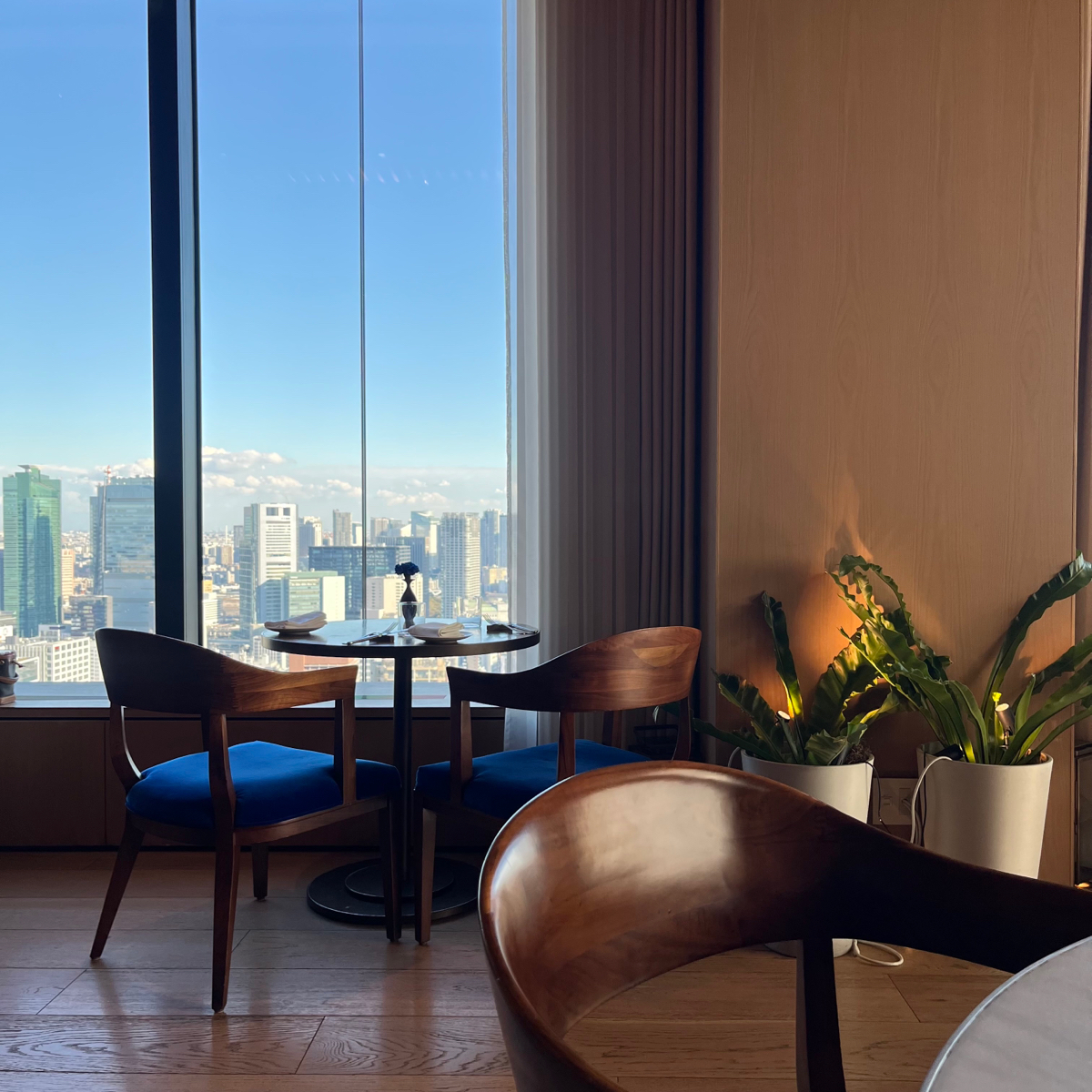 The Blue Room の雰囲気の写真： byみぶグルメ 