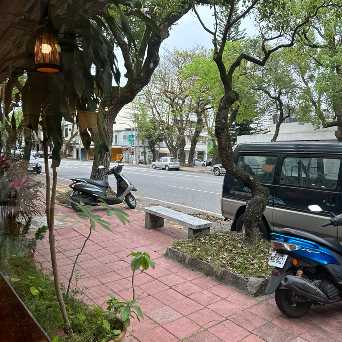 Vibe image of 老樟: 由內看出店外 shot by 食、動、健康