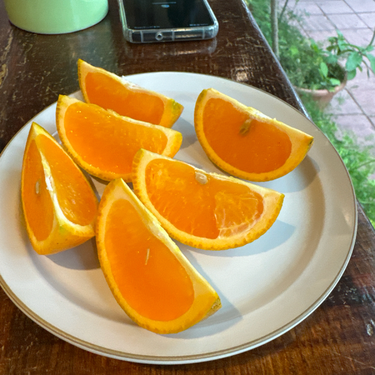 Meal image of 老樟: 餐後水果 shot by 食、動、健康