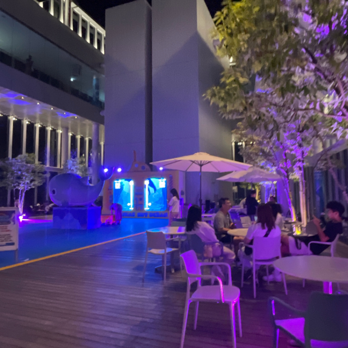 SKY GARDEN 300 的外觀氛圍圖片： 由Freddy Liu 拍攝