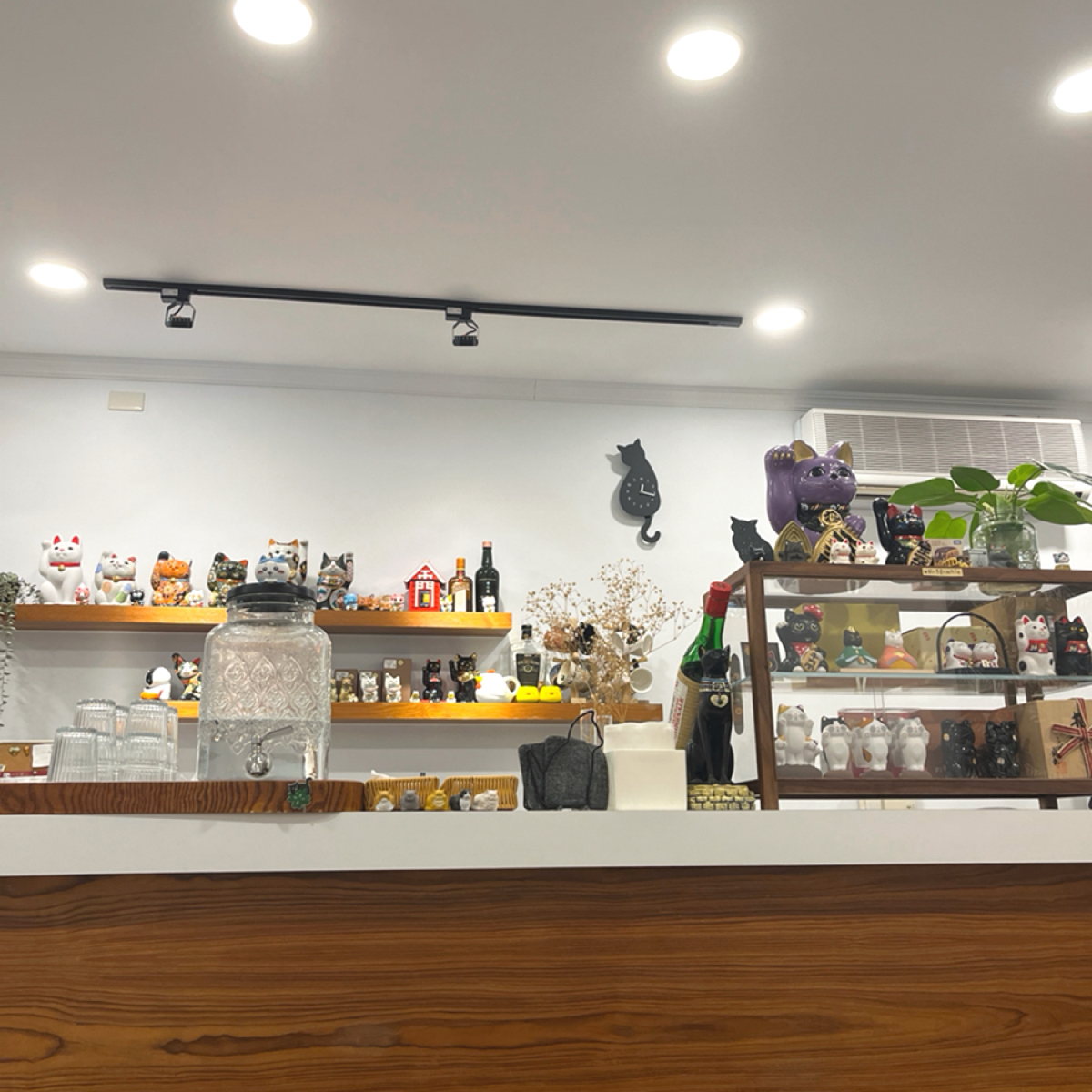 Vibe image of 良猫吉食:  shot by Yan（吃飯打卡中）